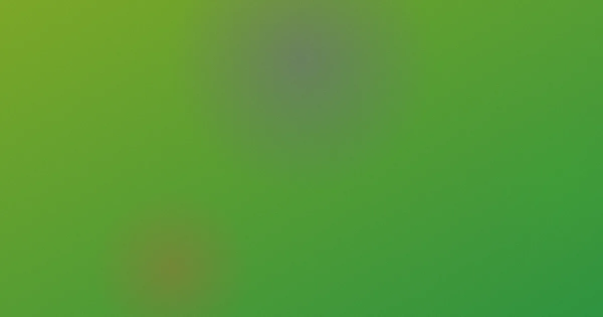 西式汉堡推荐：新手从零学会选